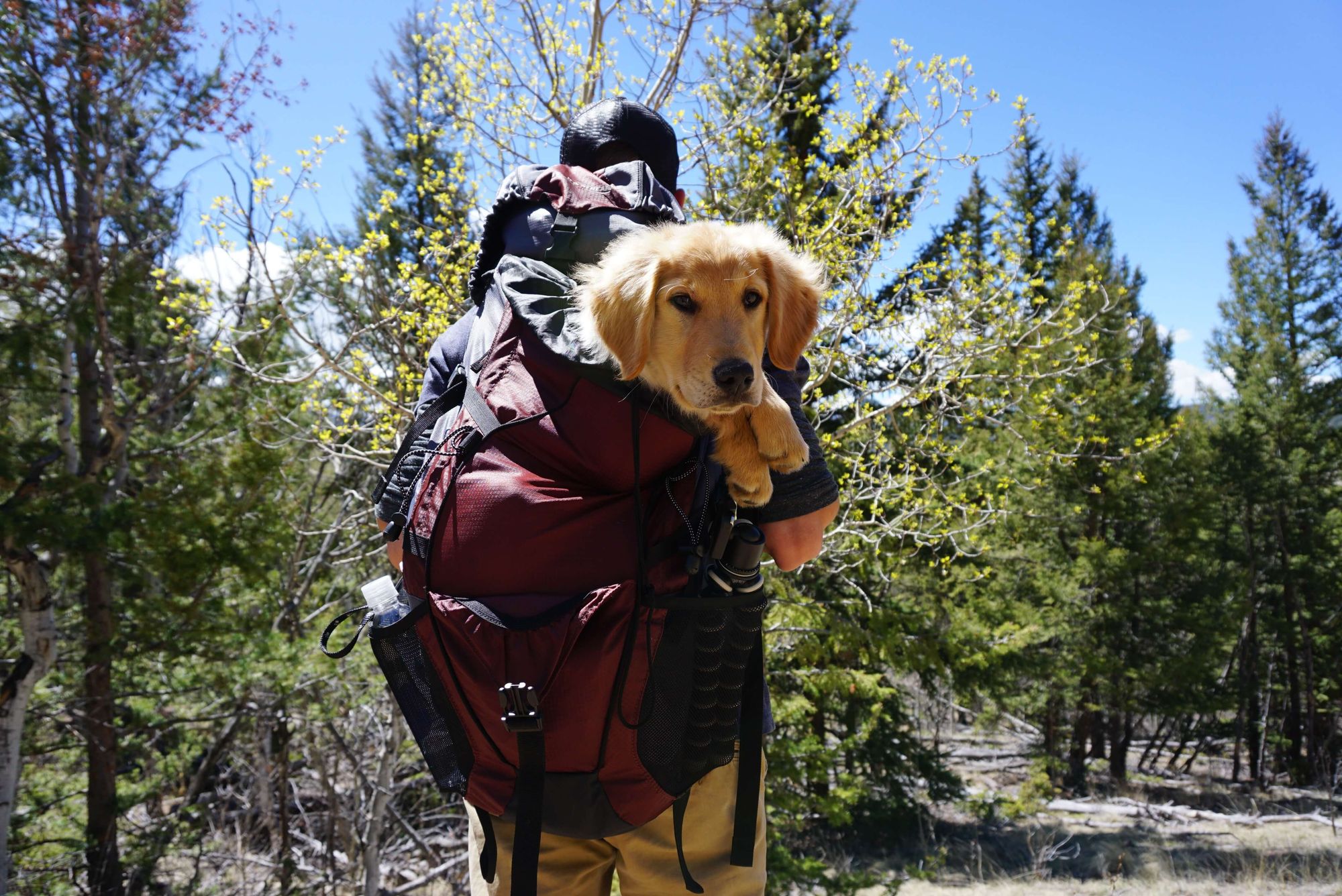 best camera for hiking and backpacking