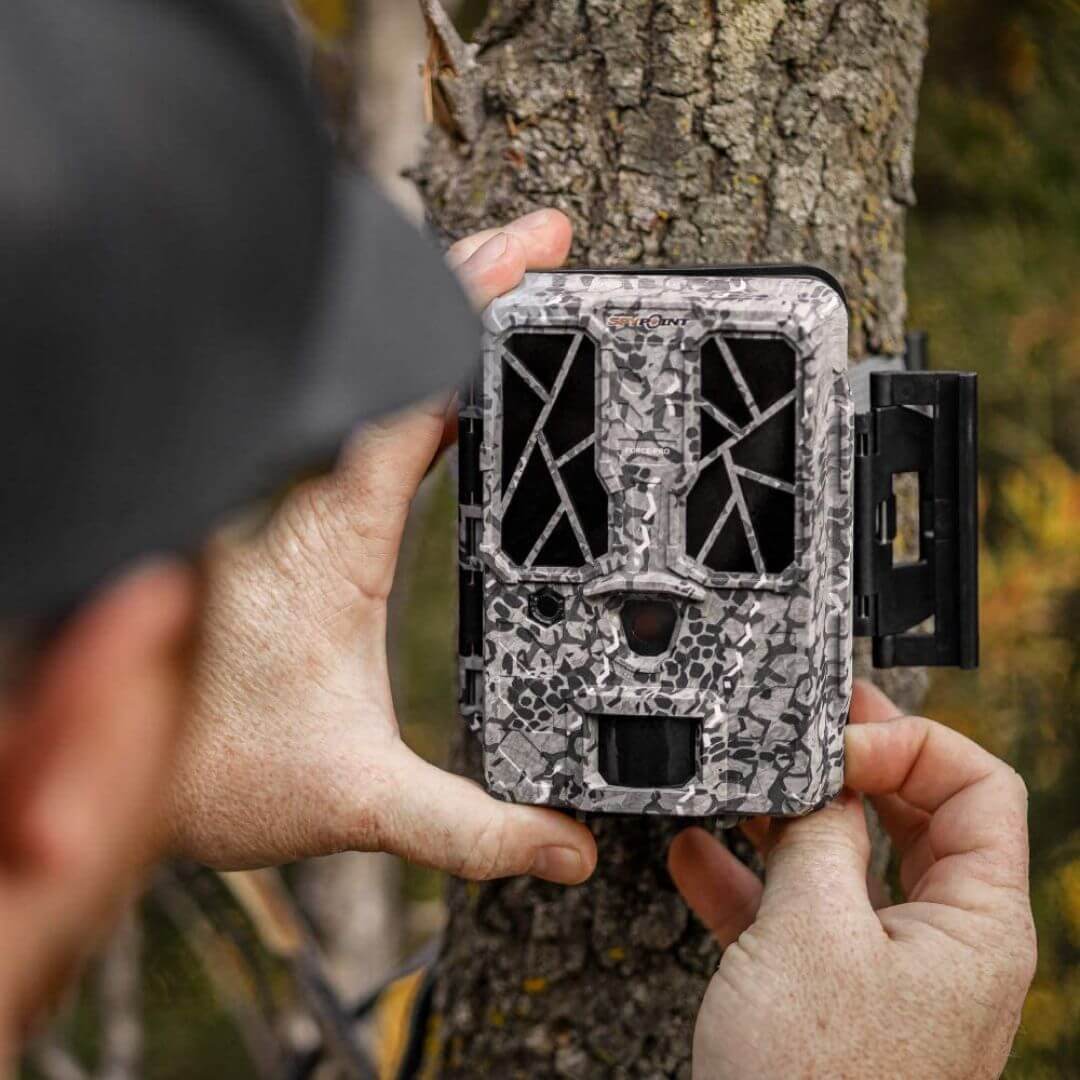 best deer camera