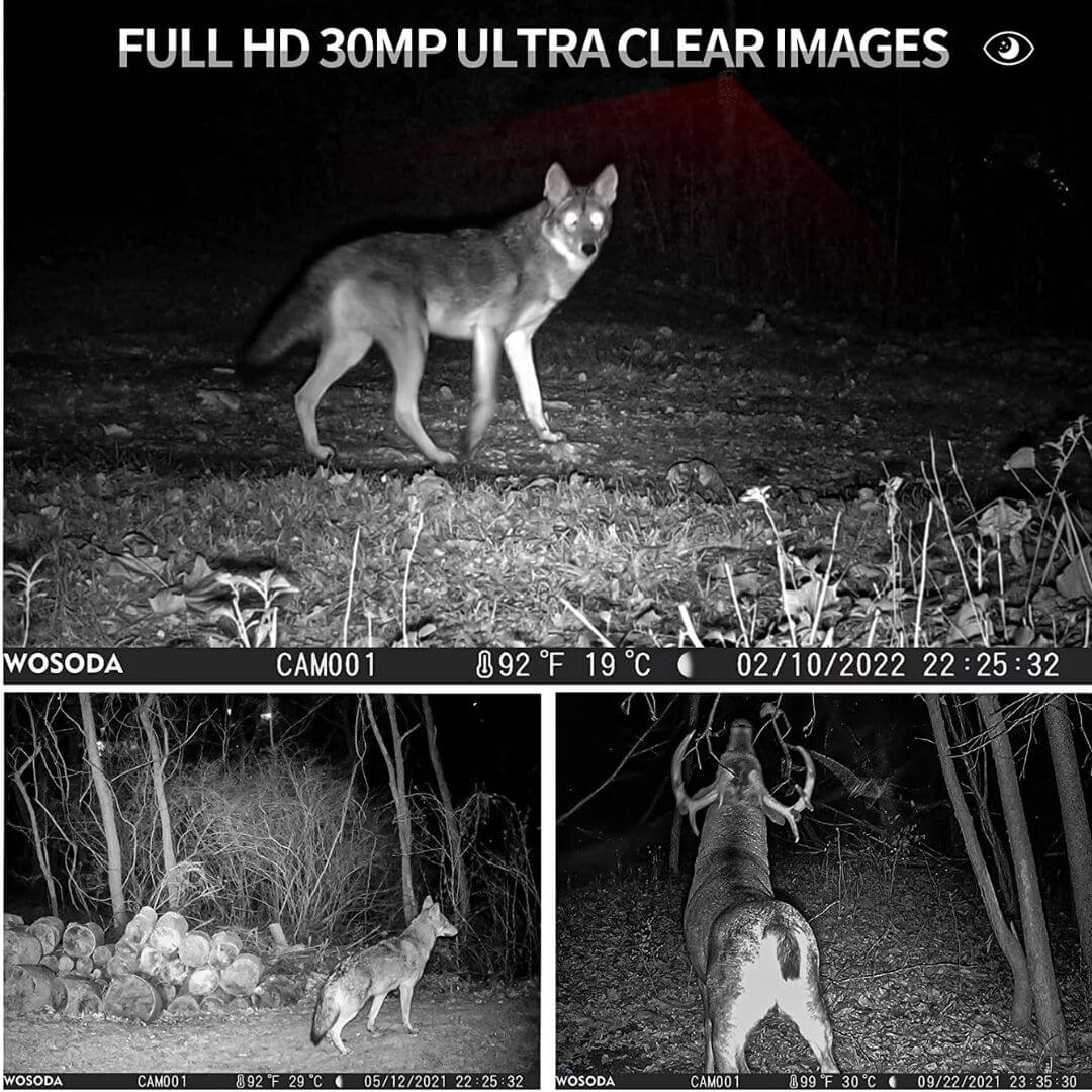 best deer camera