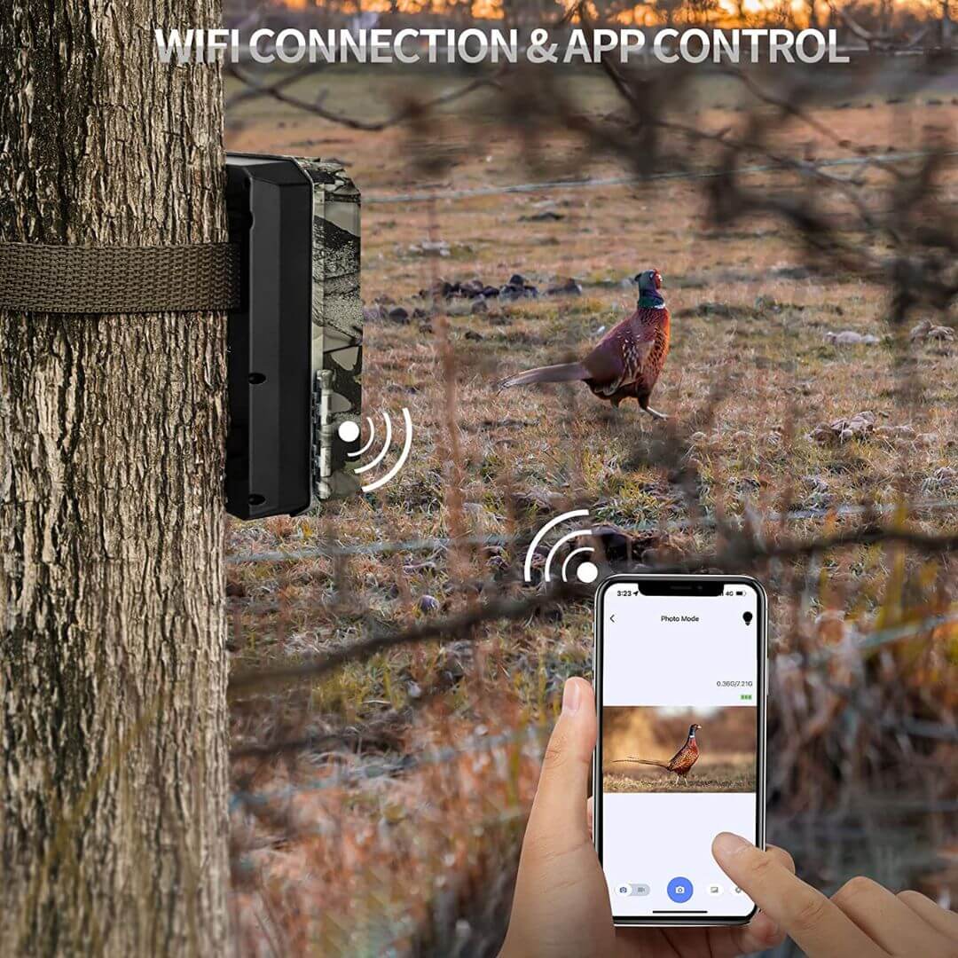 best cellular trail camera