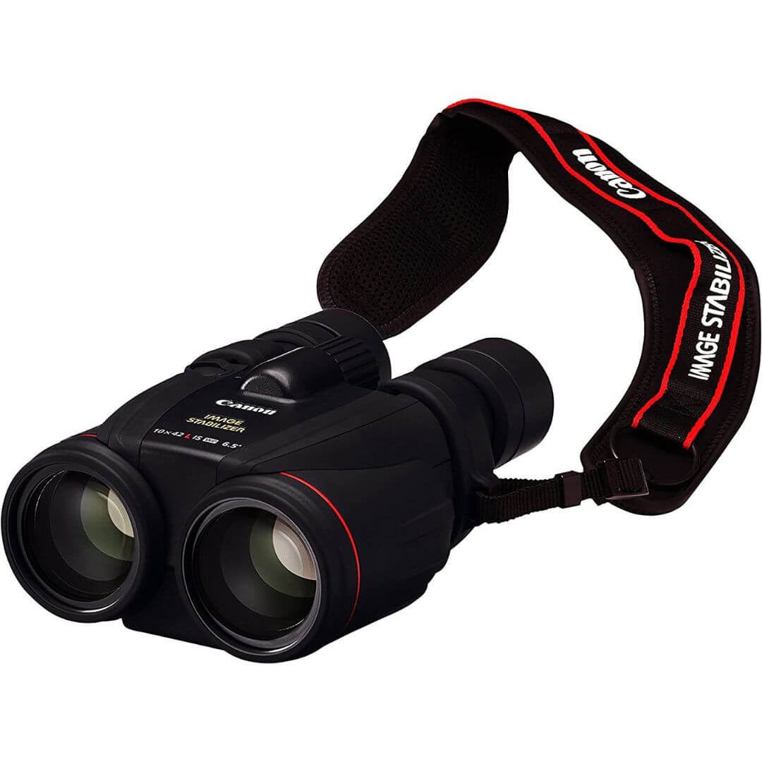 best binoculars for bird watching