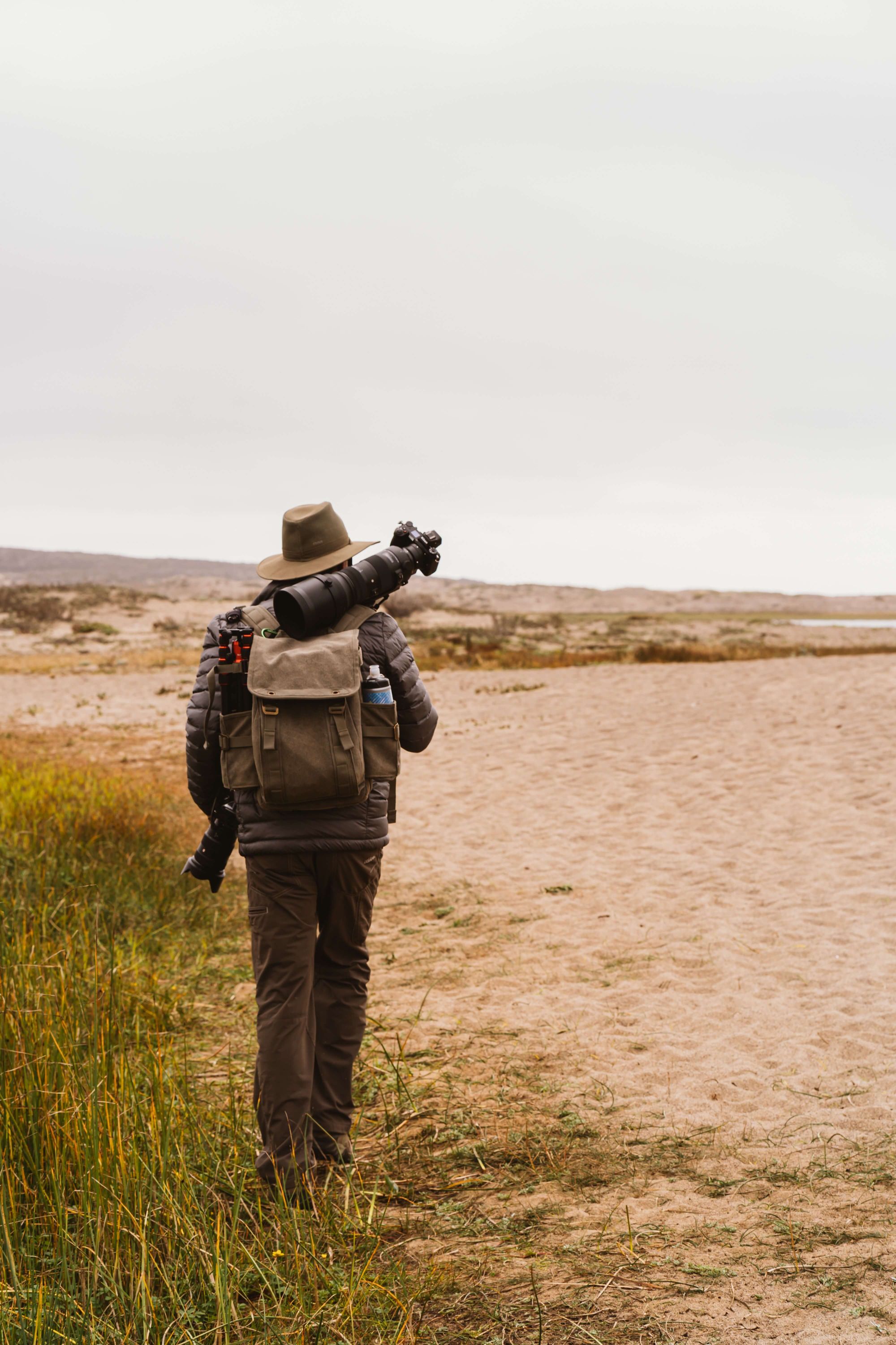 best binoculars for wildlife and bird watching