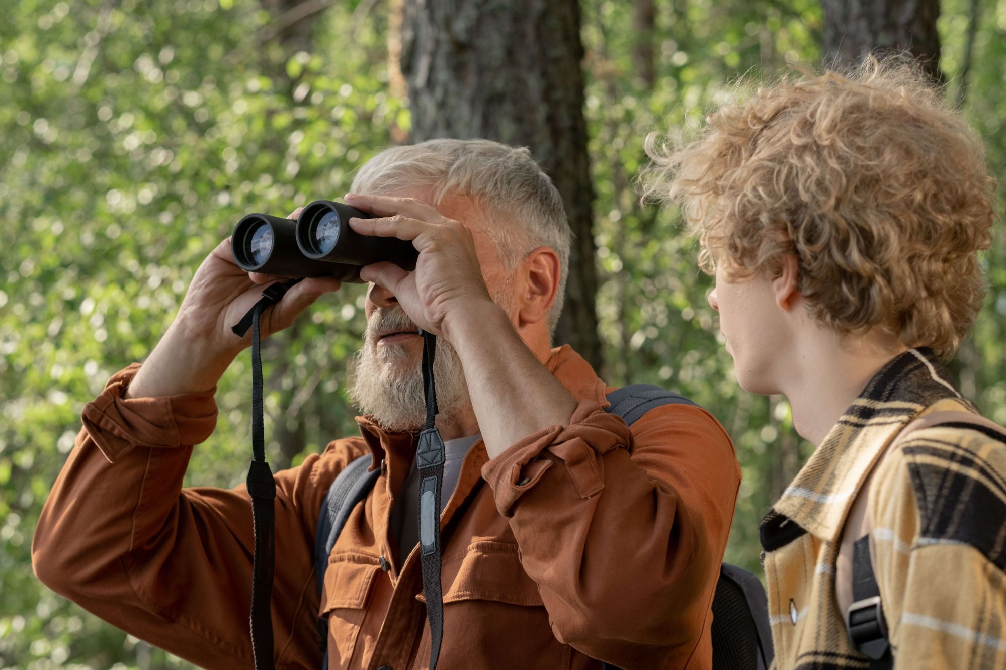 best binoculars for wildlife viewing and bird watching