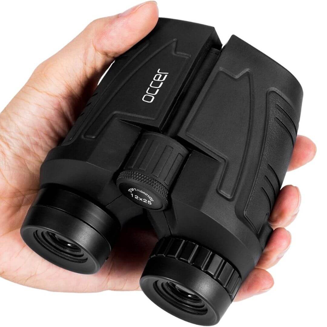 best binoculars for bird watching