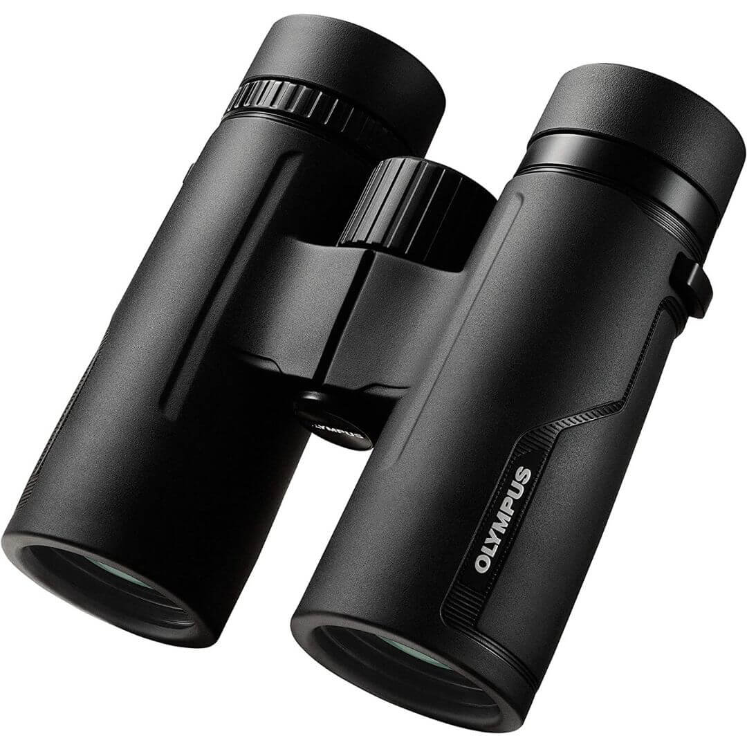 best binoculars for wildlife and birding