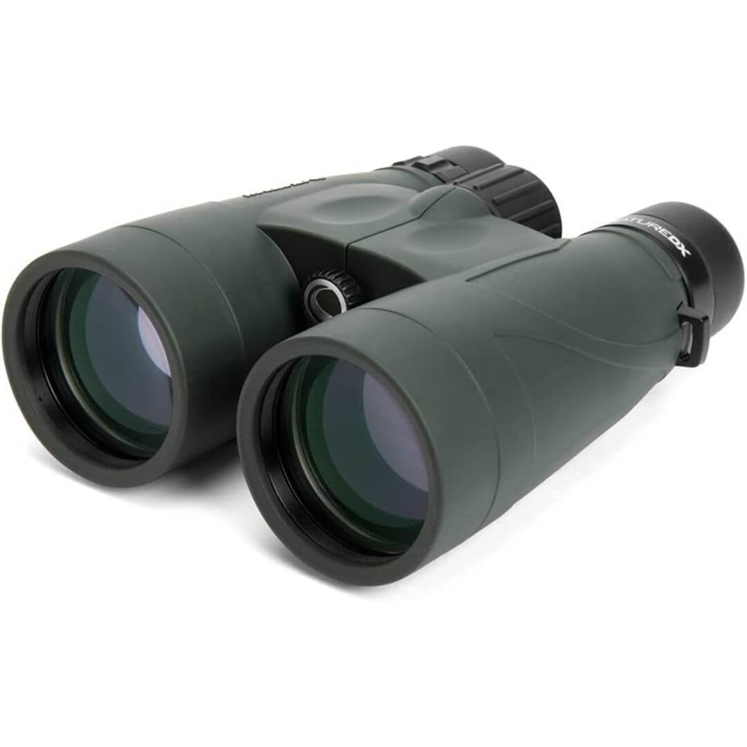 best binoculars for bird watching