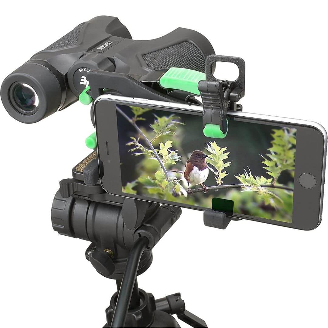 best binoculars phone adapter