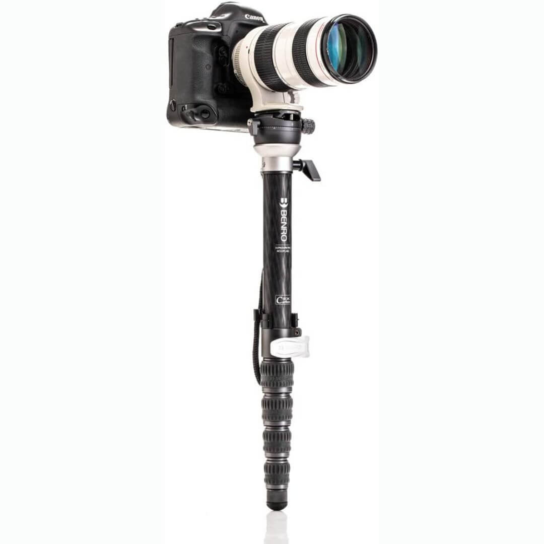 best monopod for wildlife photography