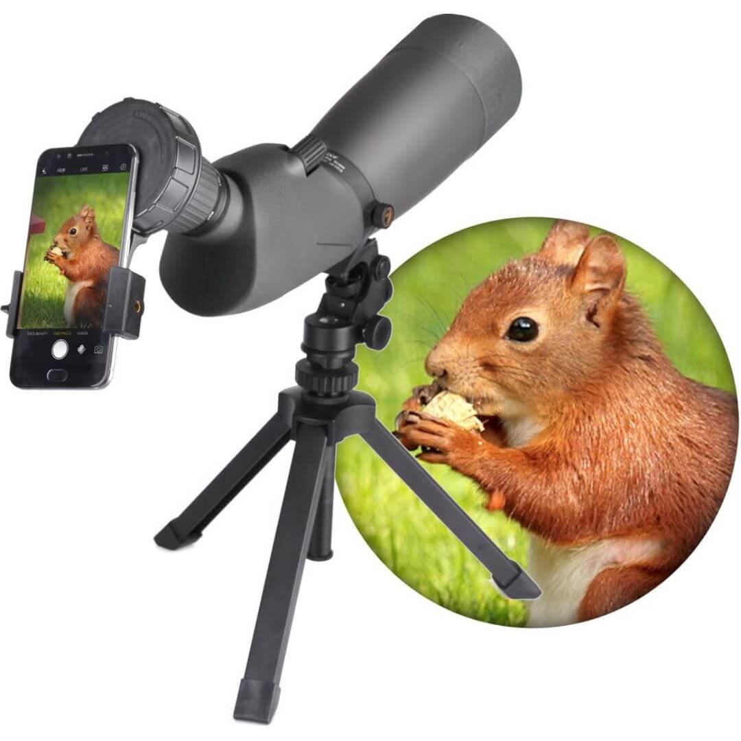 best phone adapter for binoculars