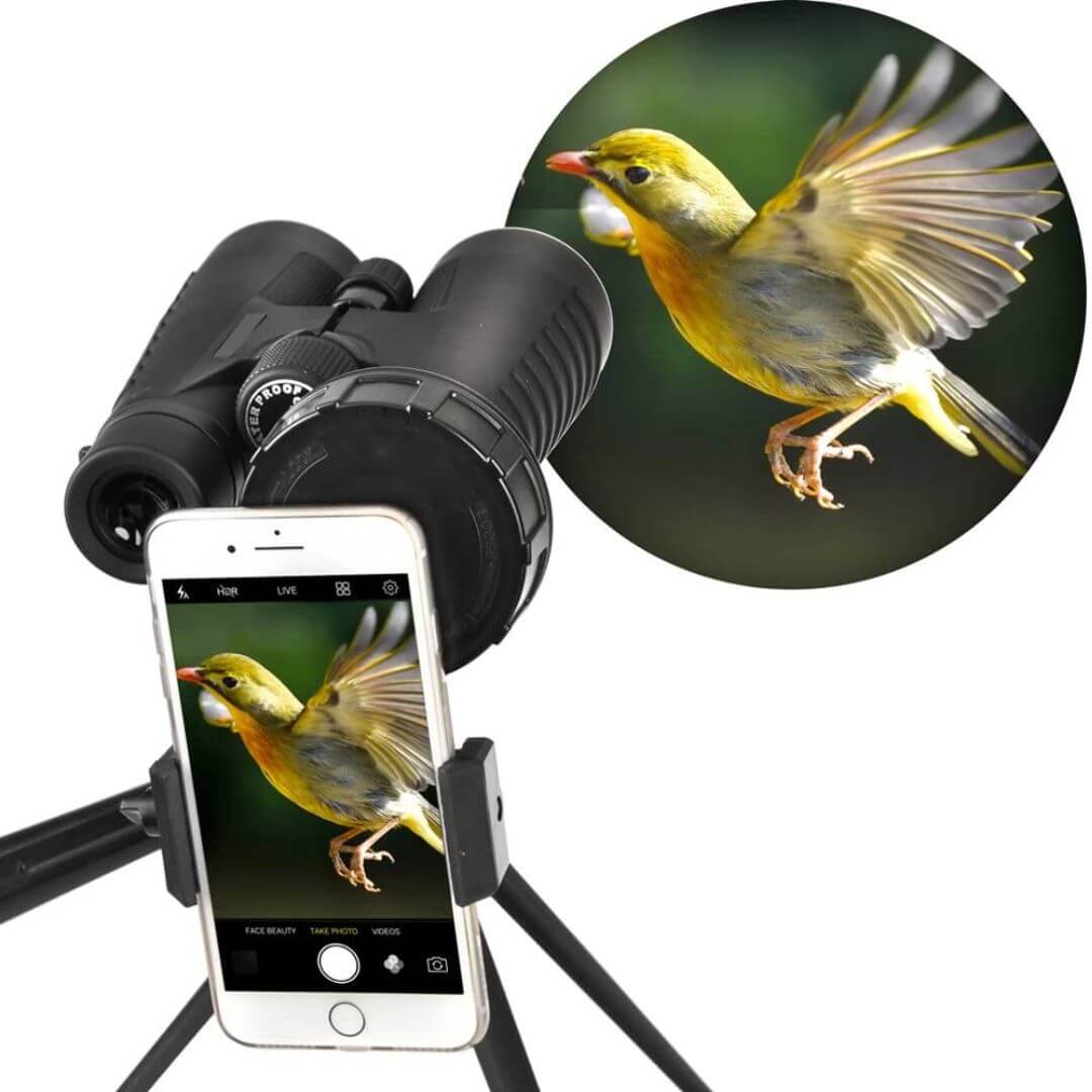 best phone adapter for binoculars