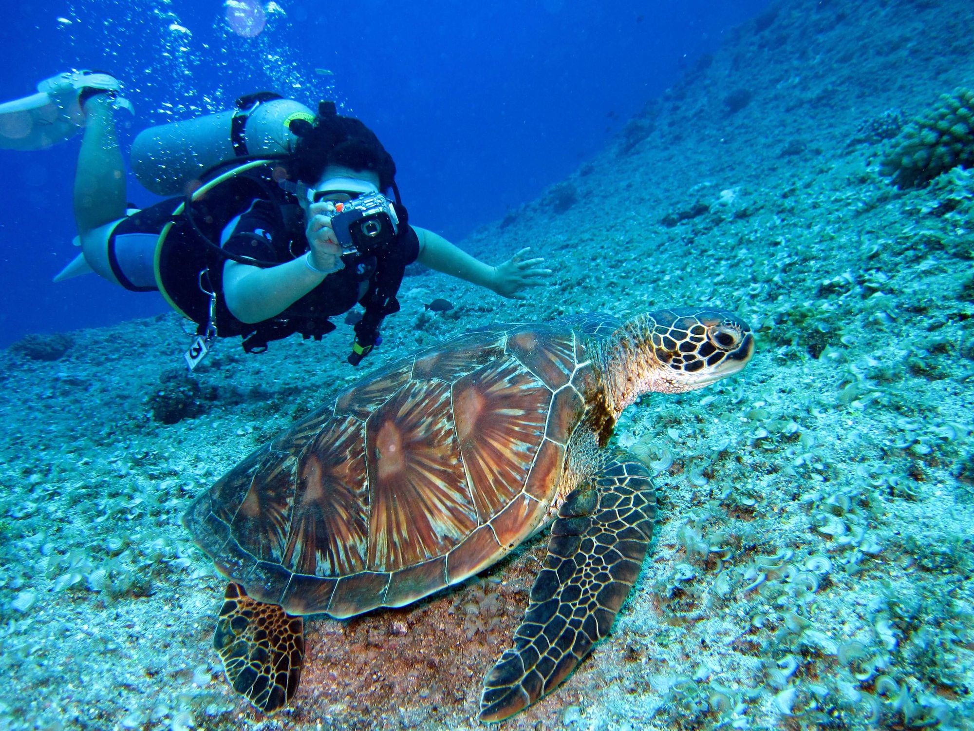 best waterproof camera for snorkeling