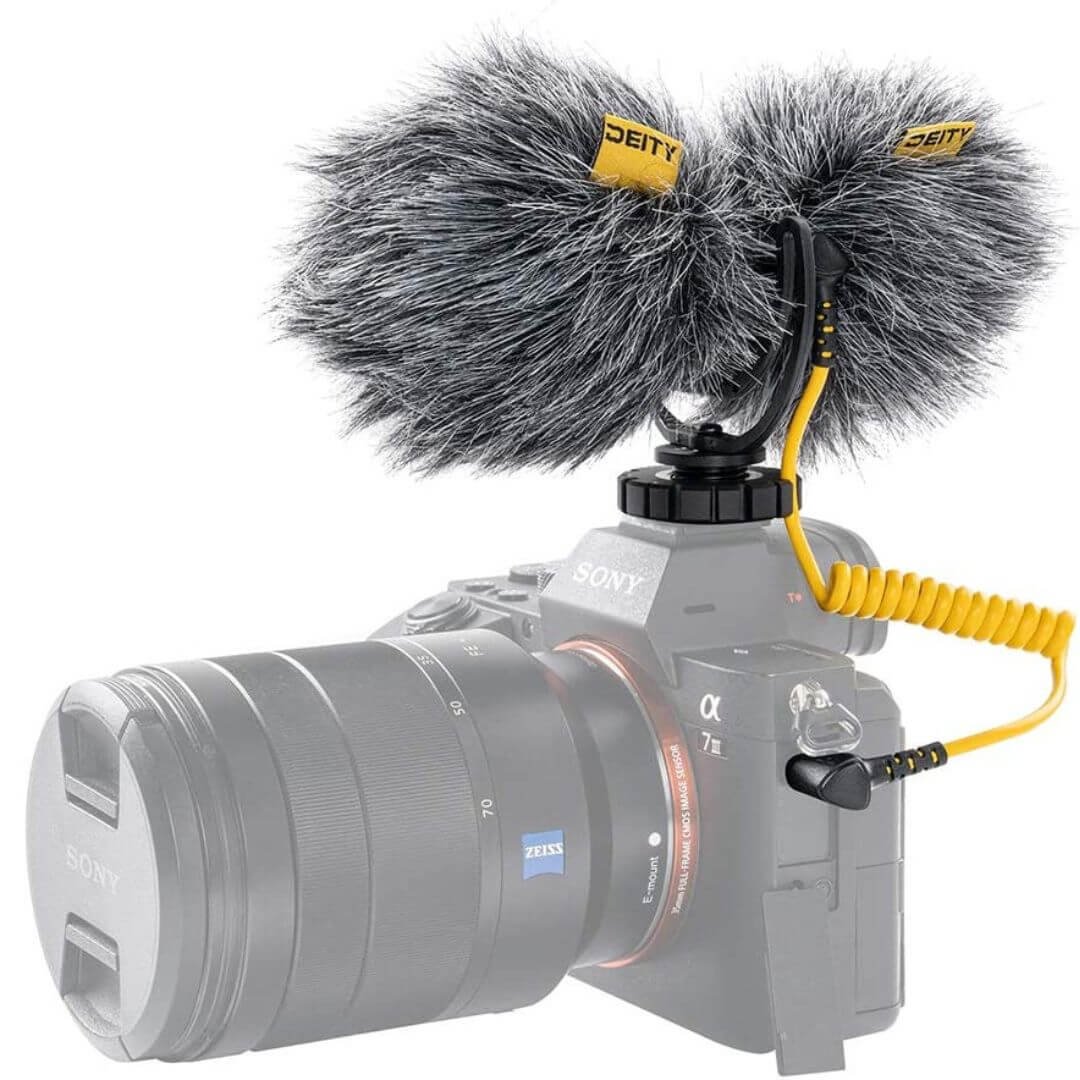 best microphone for vlogging