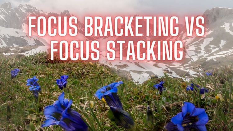 What is The Difference Between Focus Bracketing And Focus Stacking? Say Goodbye to Blurry Photos!