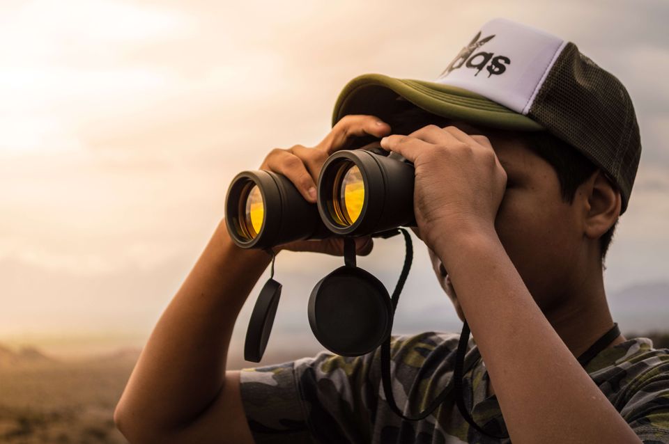 Best Binoculars For Wildlife Viewing And Bird Watching In 2023