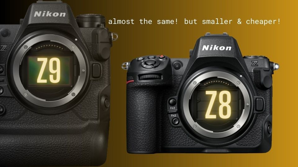 Nikon Z8 Rumors Debunked: Release Date, Price & Specs